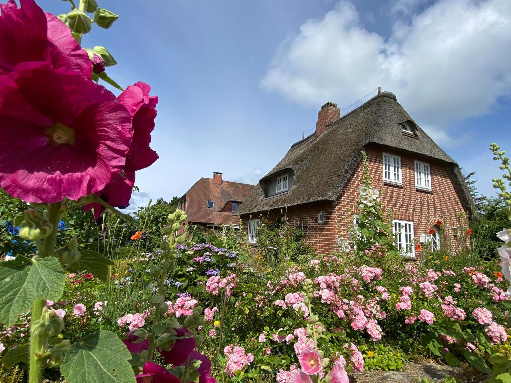 Stockrosenhuus Apartment Westerland